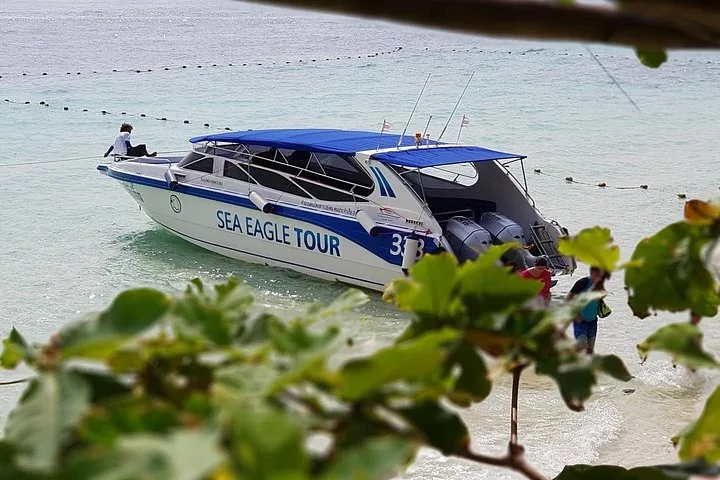 A Sea Eagle Tour speedboat anchored near the shore, partially obscured by leaves.